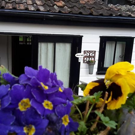 Rose Farm Bed & Breakfast Honiton Exterior photo