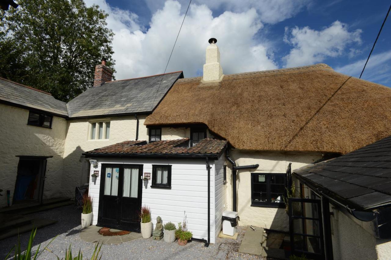 Rose Farm Bed & Breakfast Honiton Exterior photo