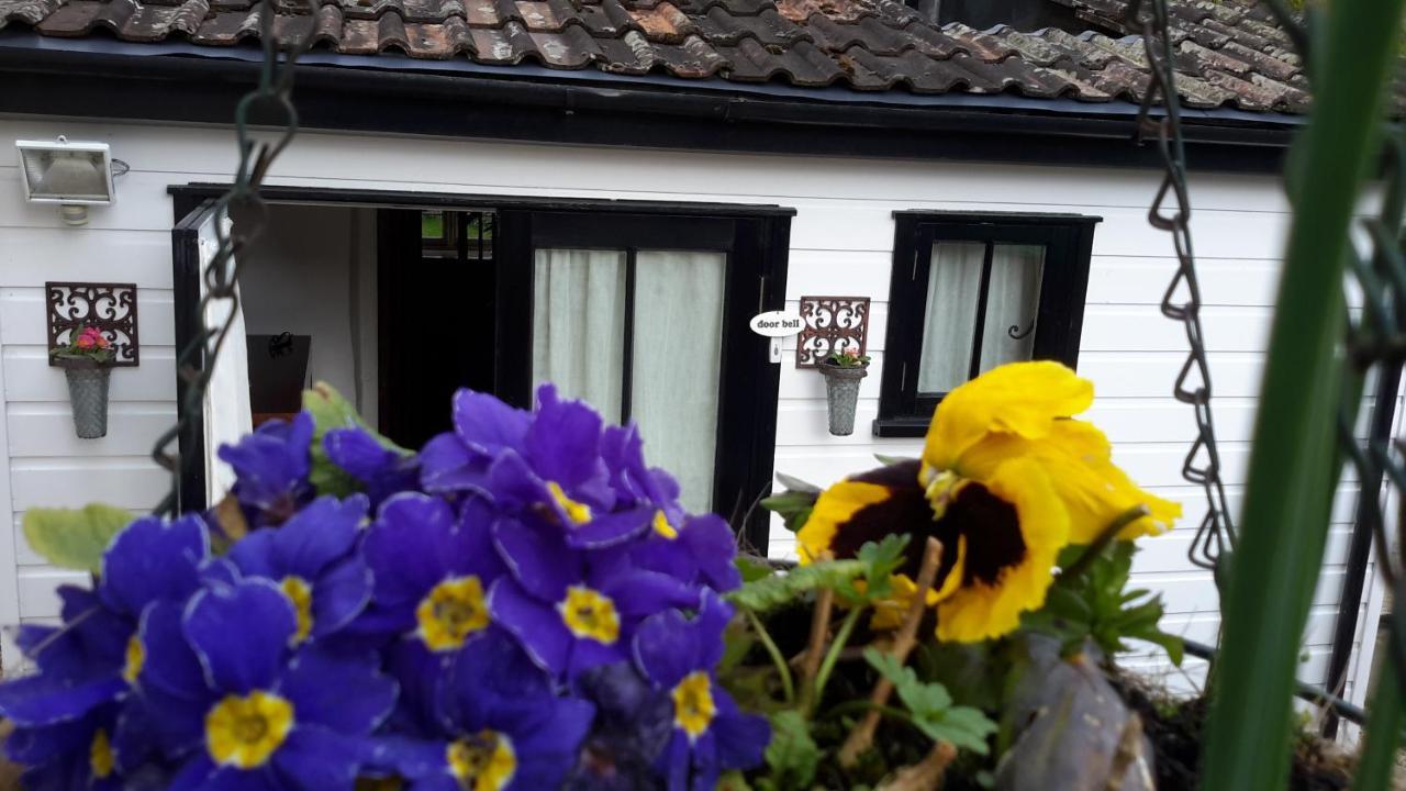 Rose Farm Bed & Breakfast Honiton Exterior photo
