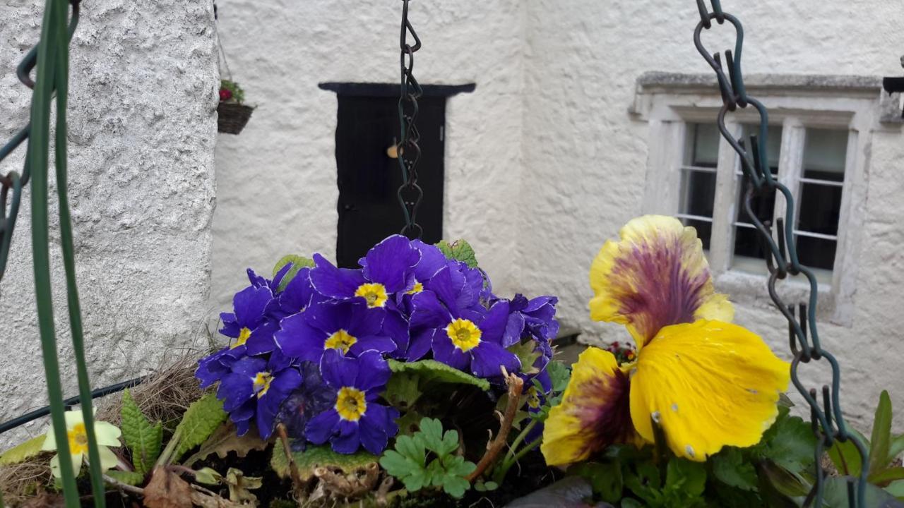 Rose Farm Bed & Breakfast Honiton Exterior photo