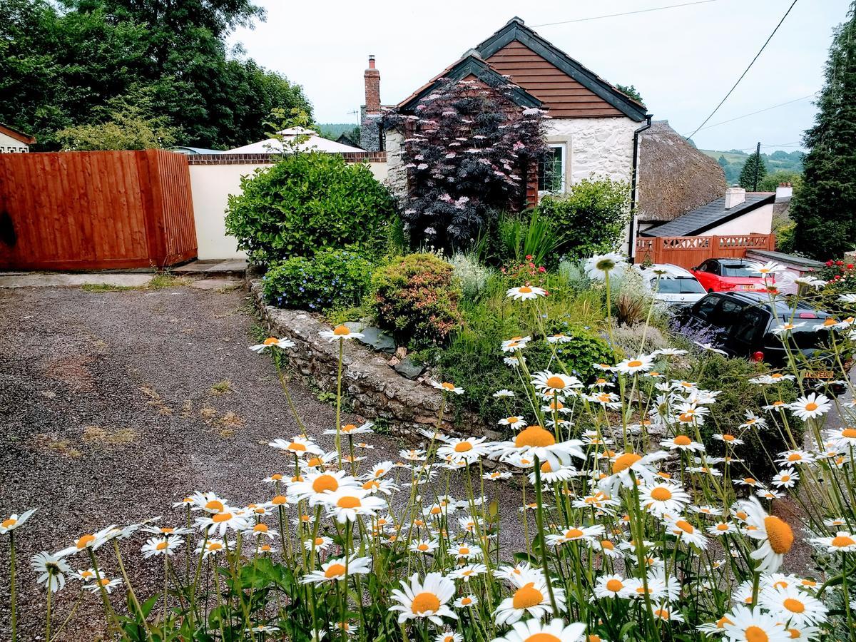 Rose Farm Bed & Breakfast Honiton Exterior photo