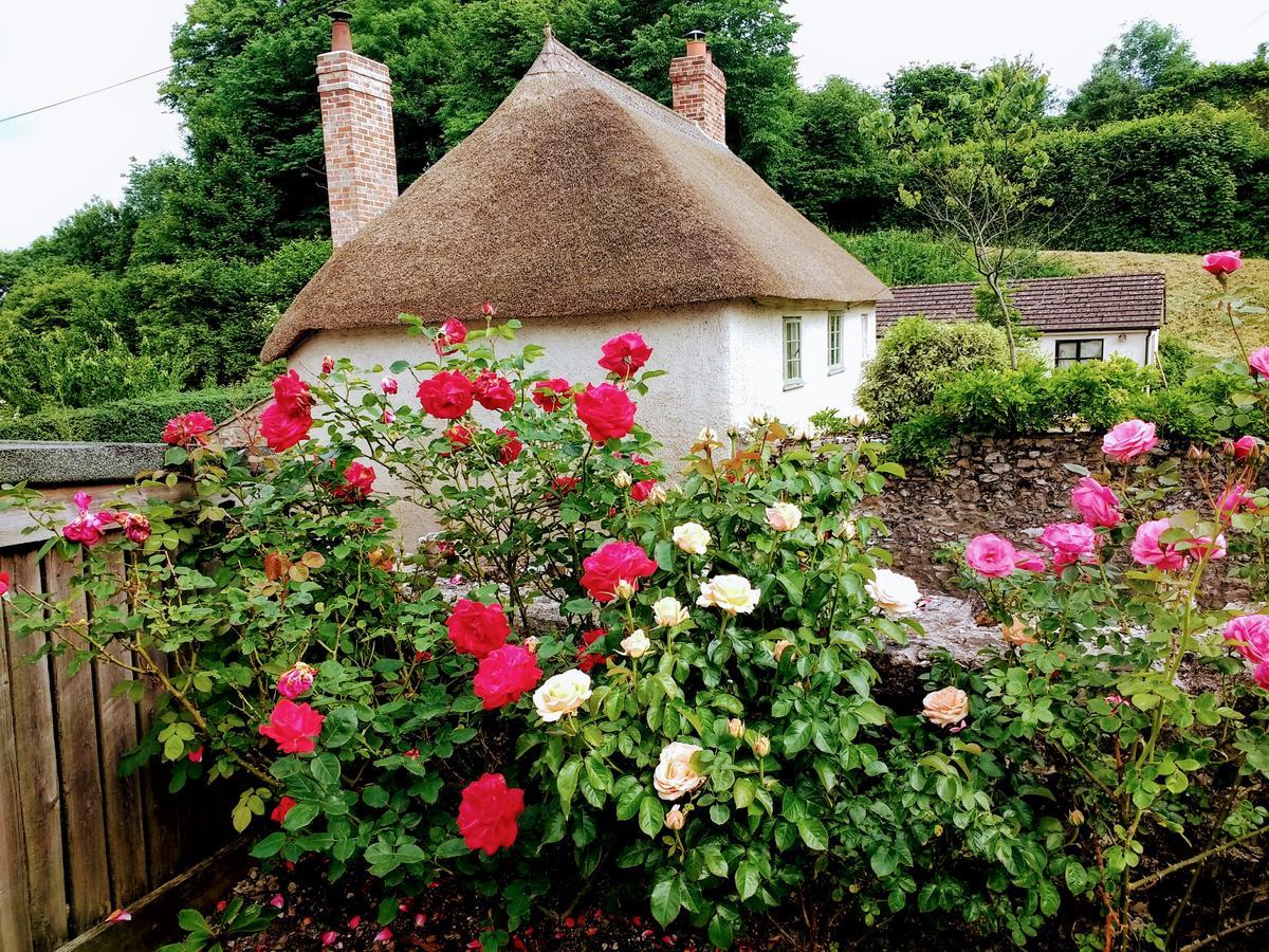 Rose Farm Bed & Breakfast Honiton Exterior photo